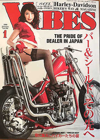 VIBES画像